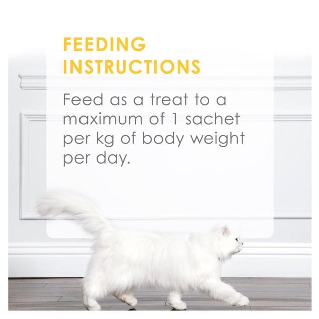 Fancy Feast Puree Kiss Chicken w/Pumpkin 4x10g