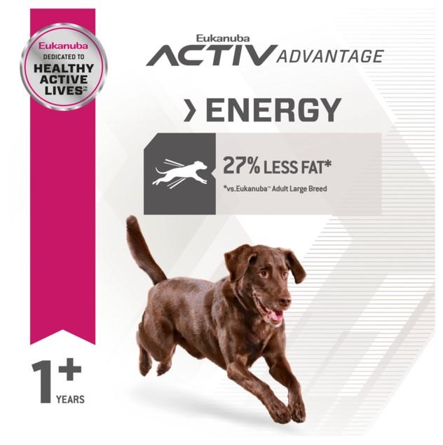 Eukanuba Fit Body Large Breed Dry Dog Food