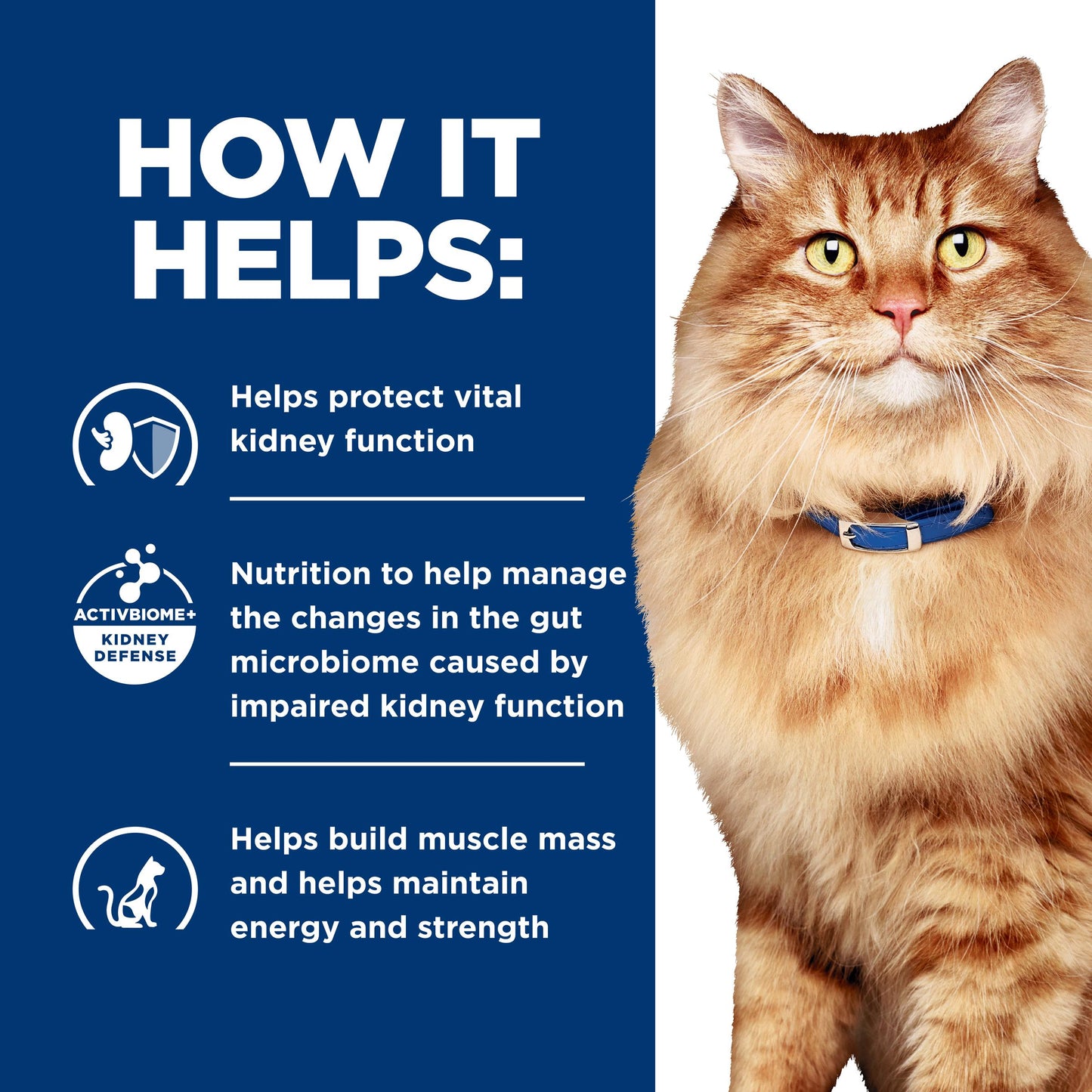 Hill's Prescription Diet k/d Kidney Care + Mobility Chicken Dry Cat Food
