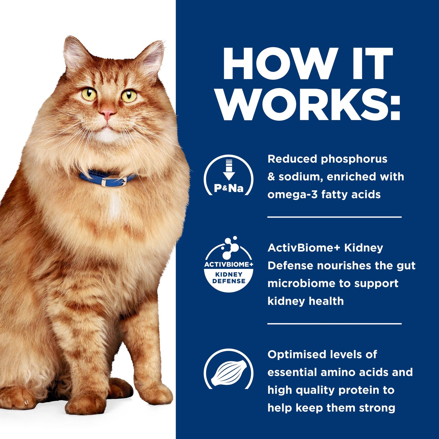 Hill's Prescription Diet k/d Kidney Care + Mobility Chicken Dry Cat Food