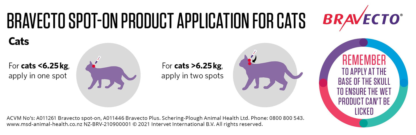 Bravecto Plus Spot-on Treatment for Small Cats 1.2-2.8kg