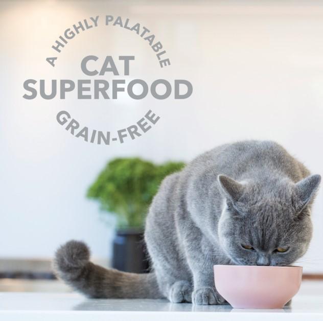 Feline Natural Lamb Green Tripe Booster Cat Food