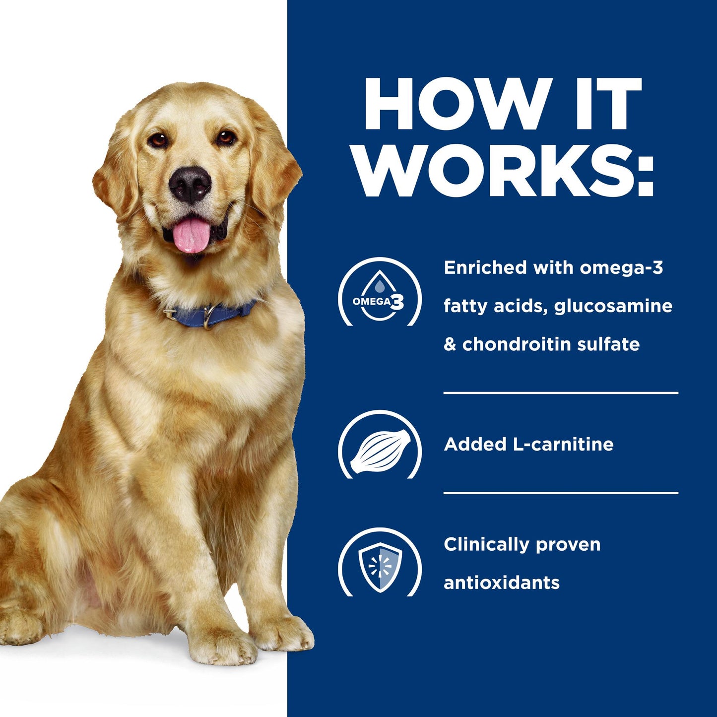 Hill's Prescription Diet j/d Joint Care Chicken Dry Dog Food