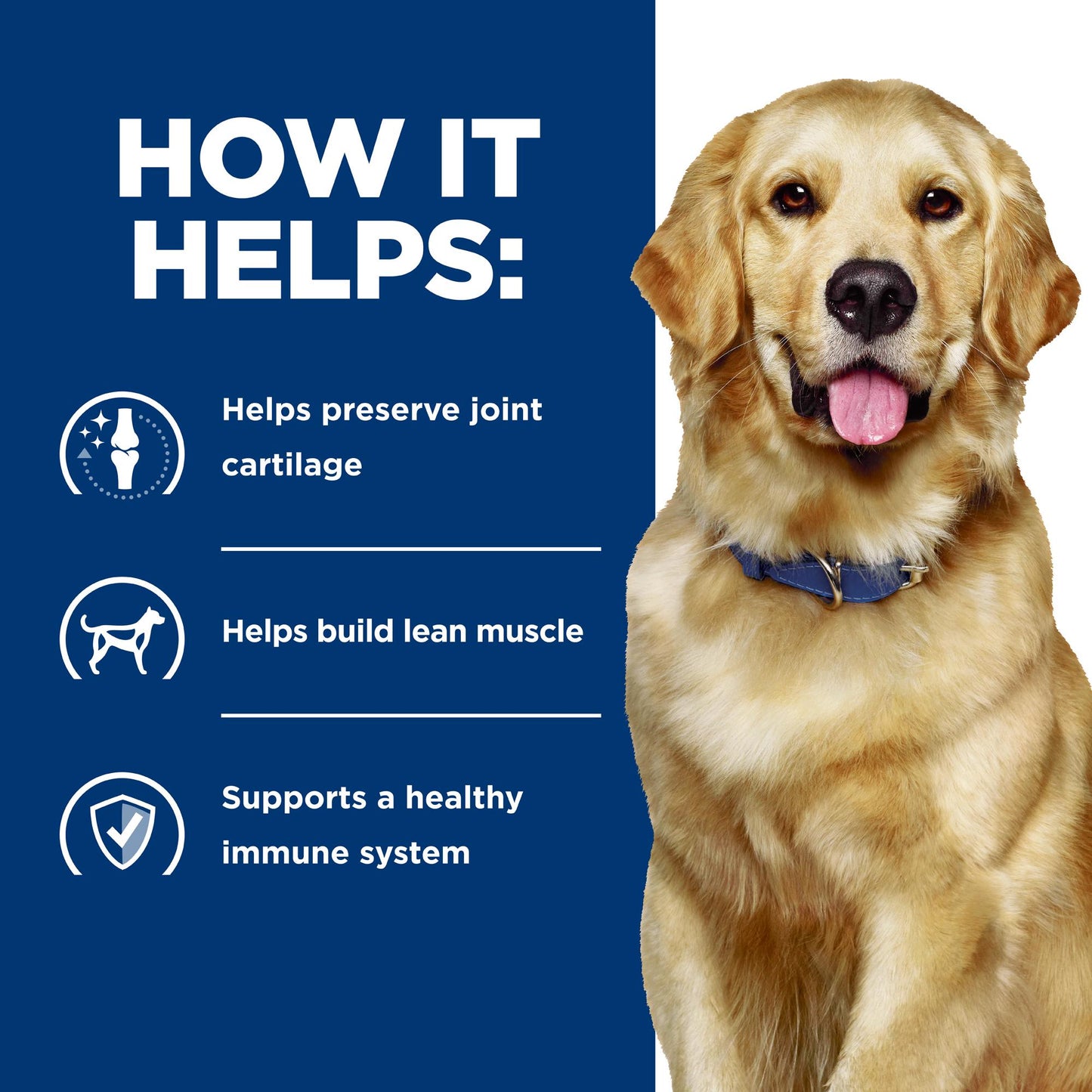 Hill's Prescription Diet j/d Joint Care Chicken Dry Dog Food