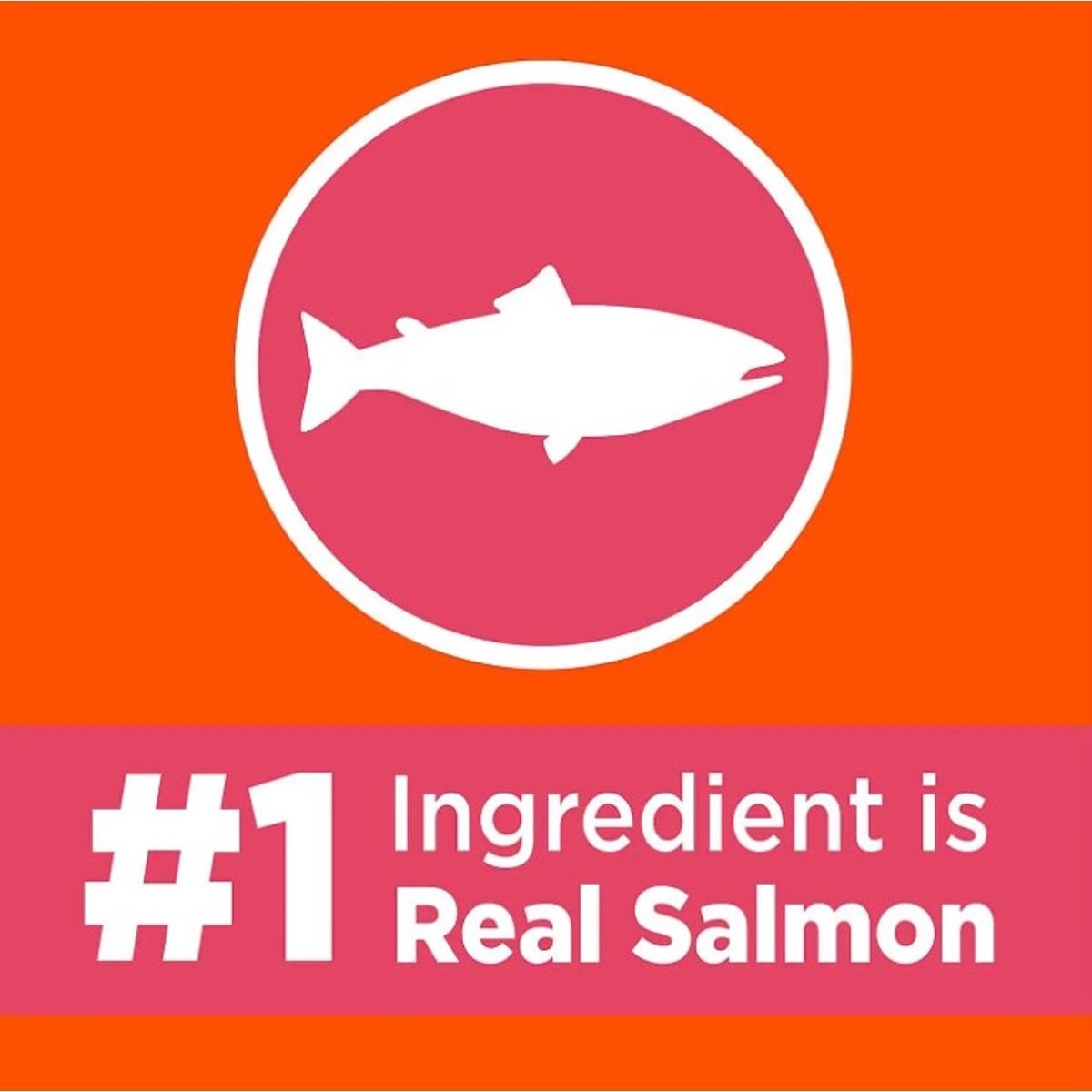 Iams Proactive Health Salmon & Tuna Adult Dry Cat Food