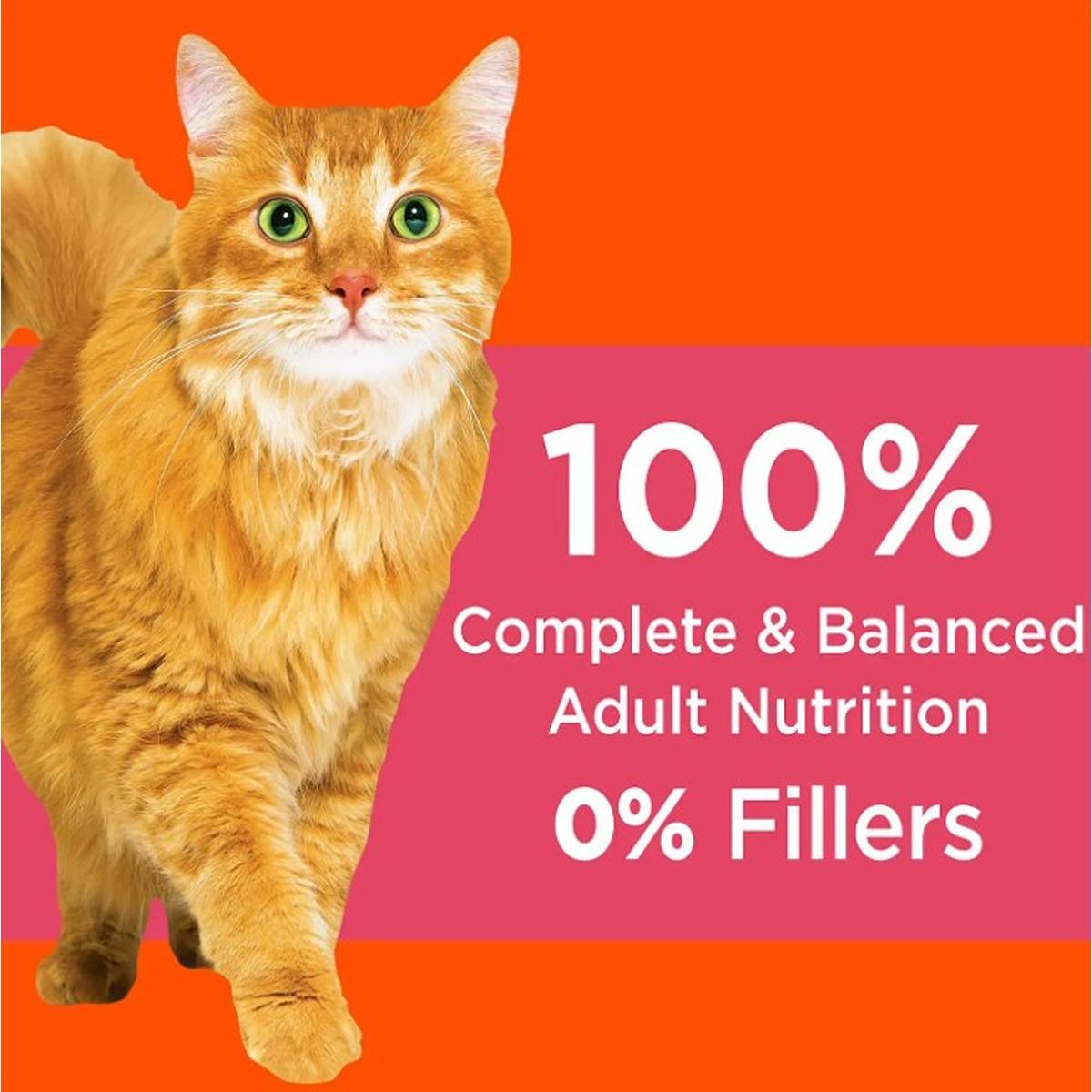 Iams Proactive Health Salmon & Tuna Adult Dry Cat Food