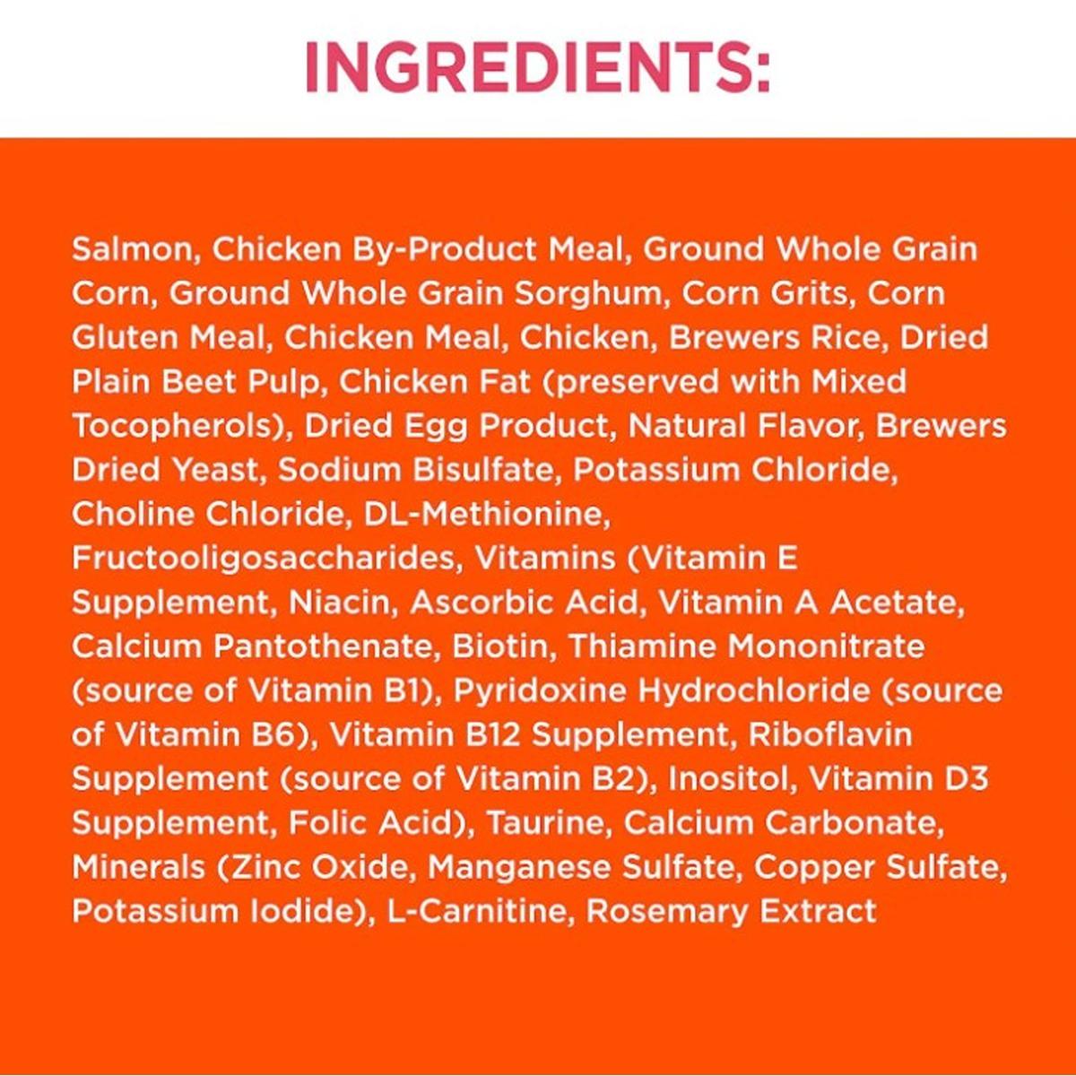 Iams Proactive Health Salmon & Tuna Adult Dry Cat Food