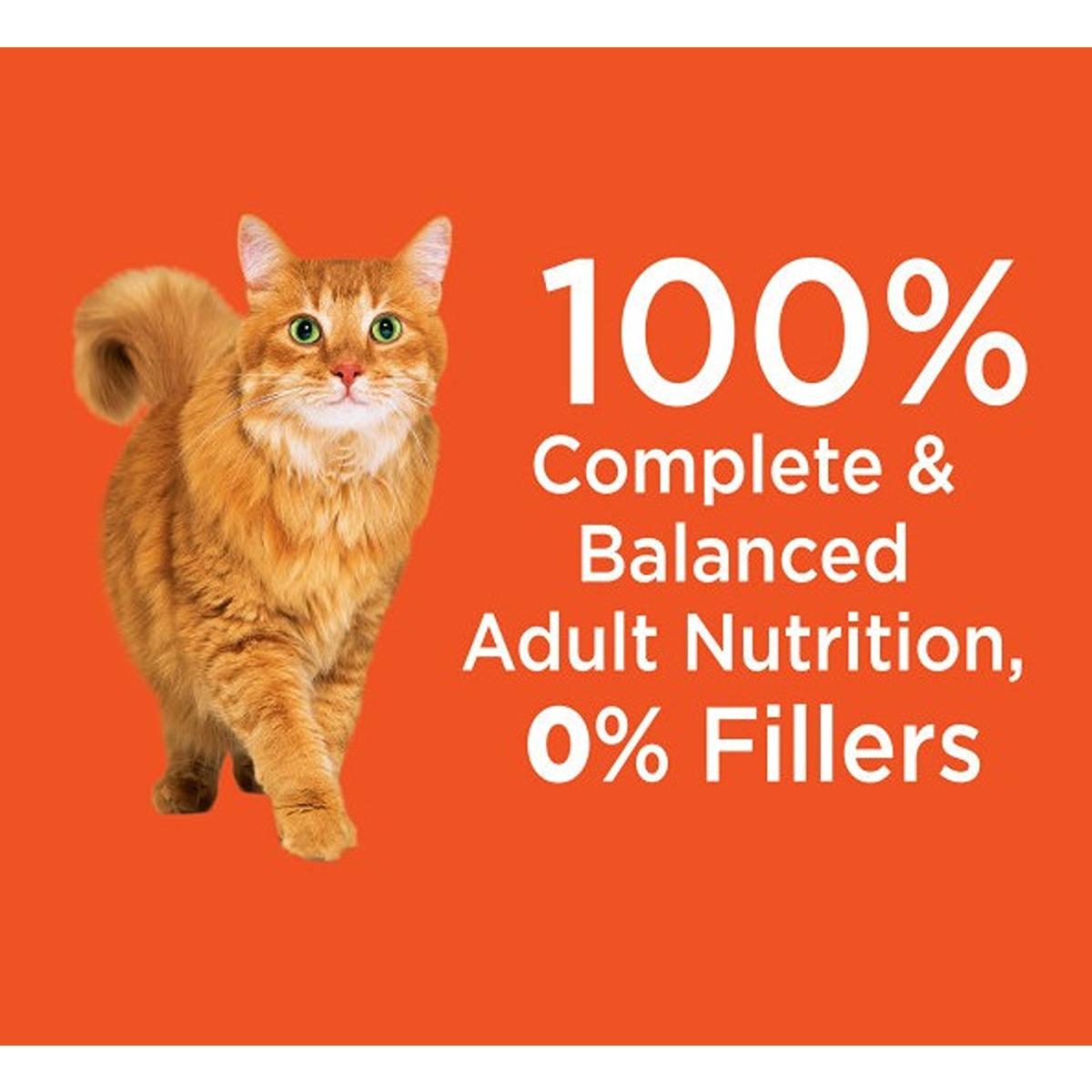 Iams Proactive Health Hairball Care Chicken & Salmon Dry Cat Food