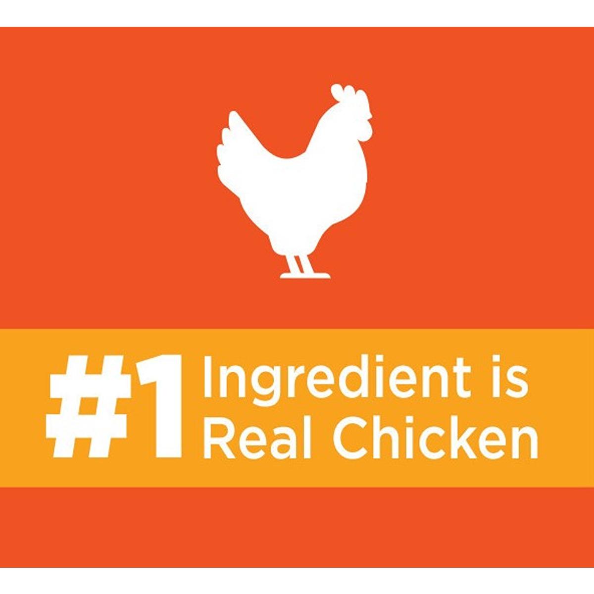 Iams Proactive Health Hairball Care Chicken & Salmon Dry Cat Food
