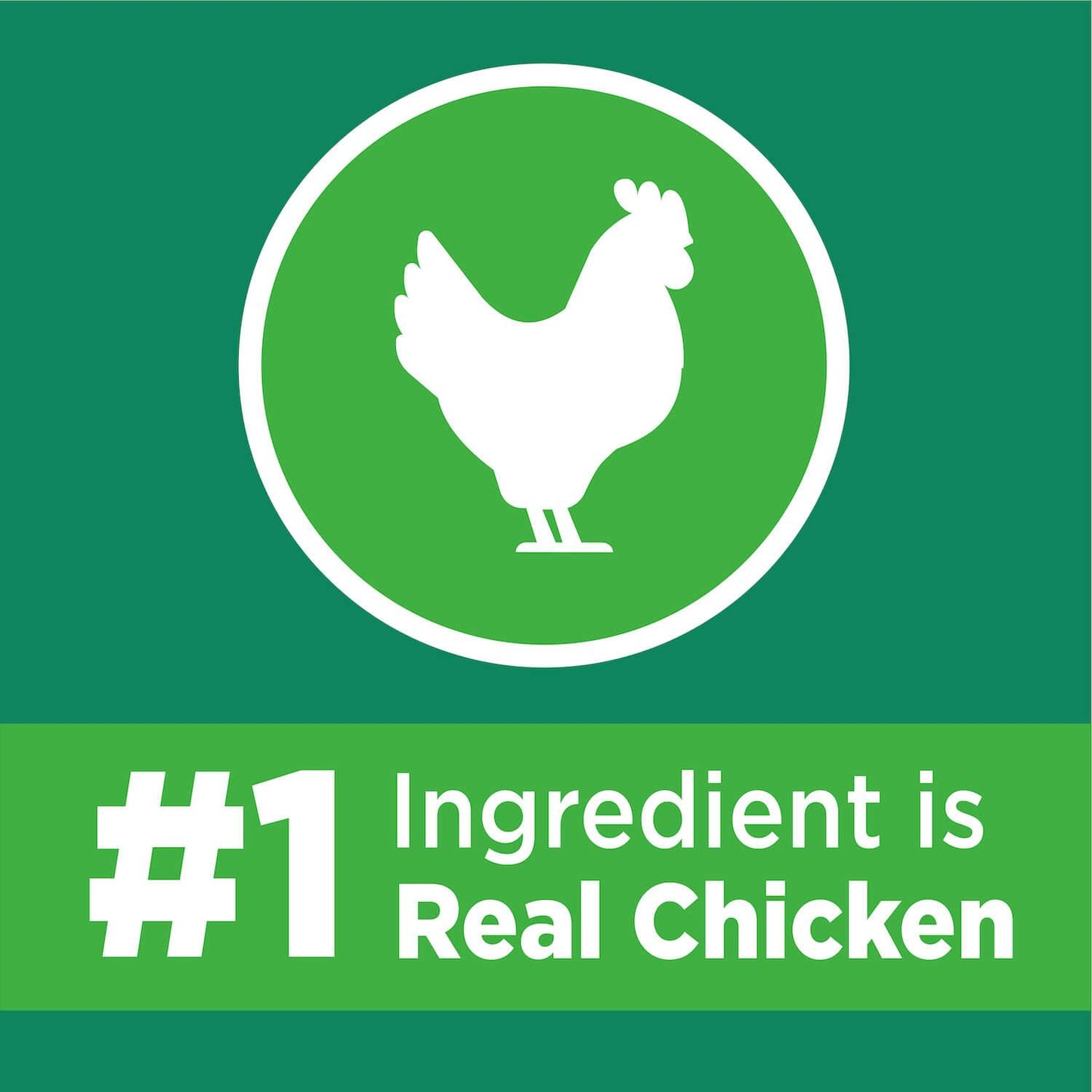 Iams Proactive Health Senior Chicken Dry Cat Food