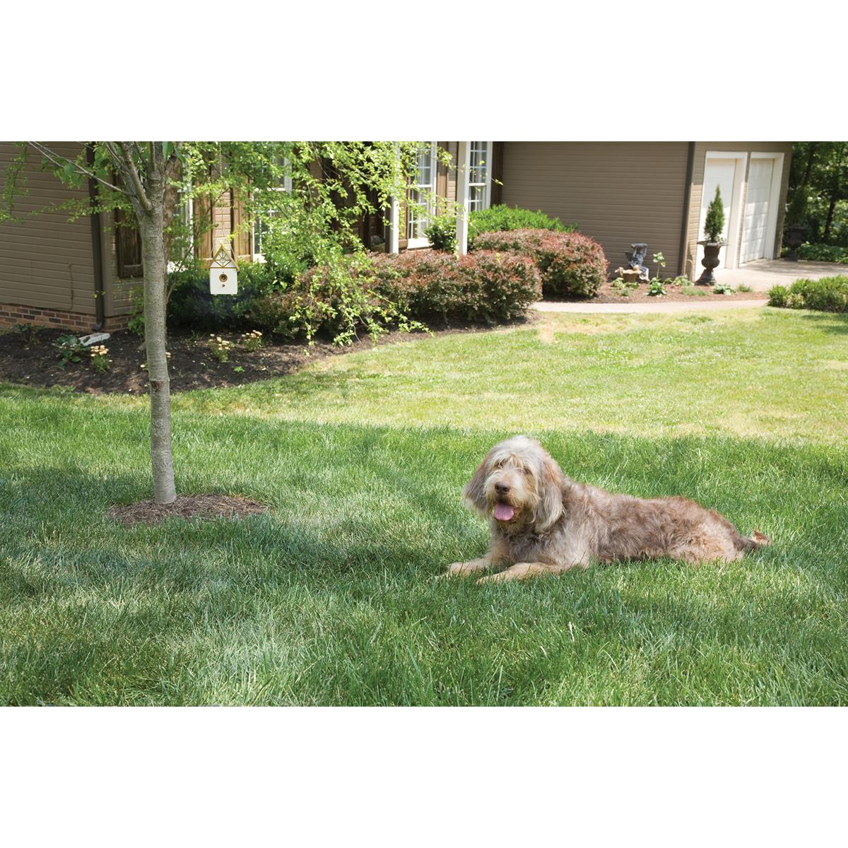 Petsafe Outdoor Bark Control