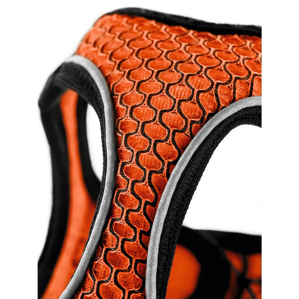 Hunter Hilo Harness