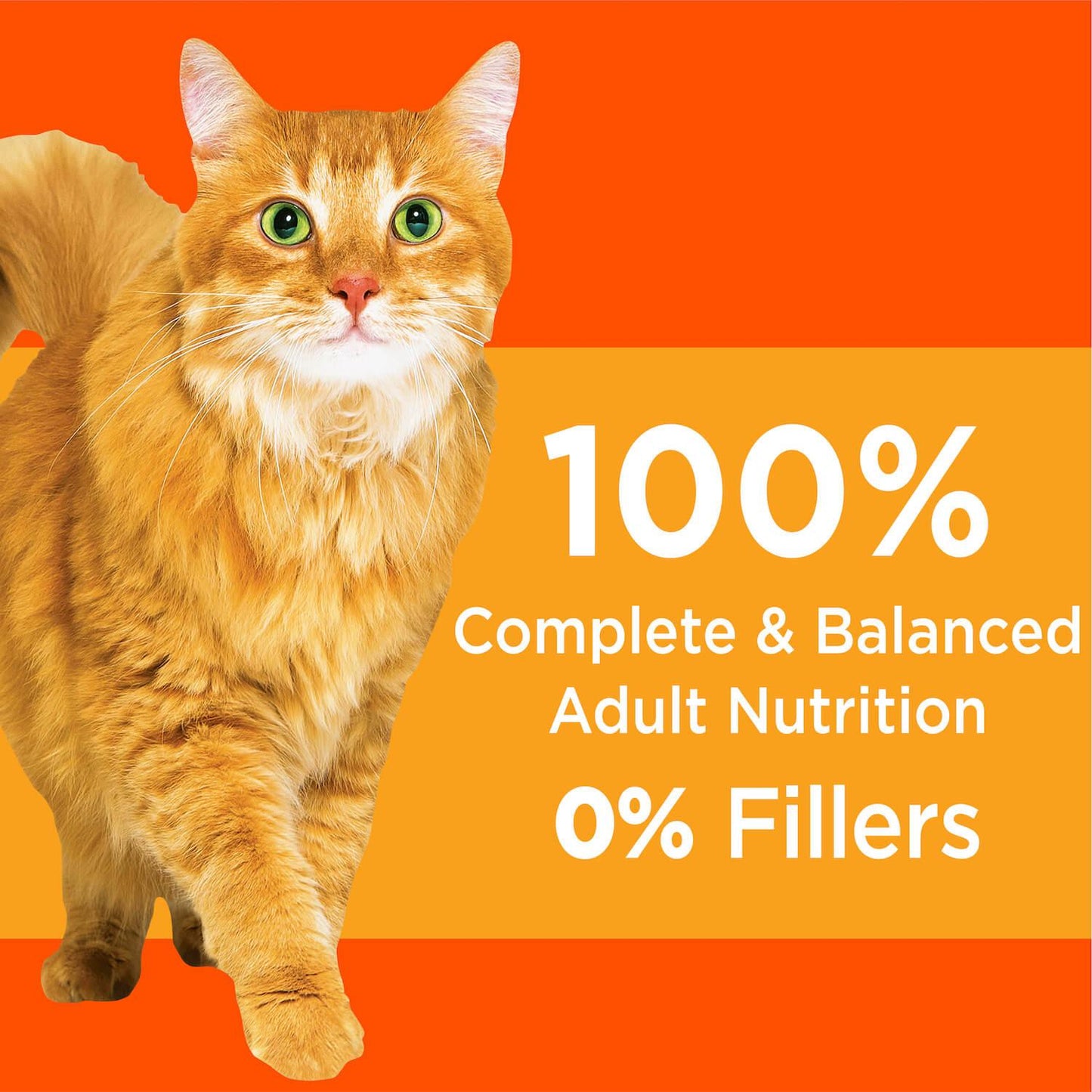Iams Proactive Health Chicken Dry Cat Food