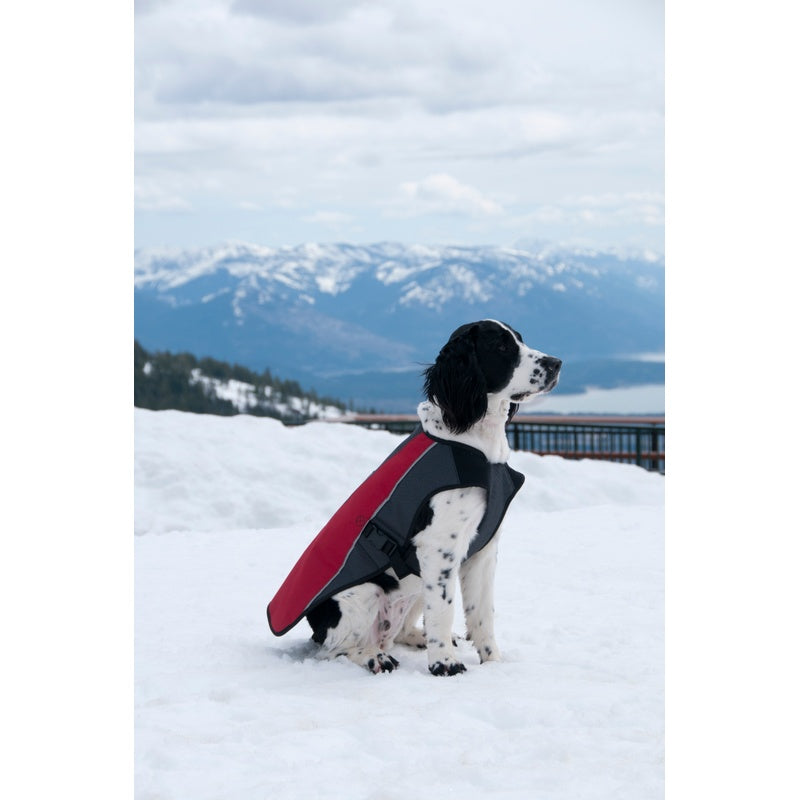 EzyDog Element Dog Jacket