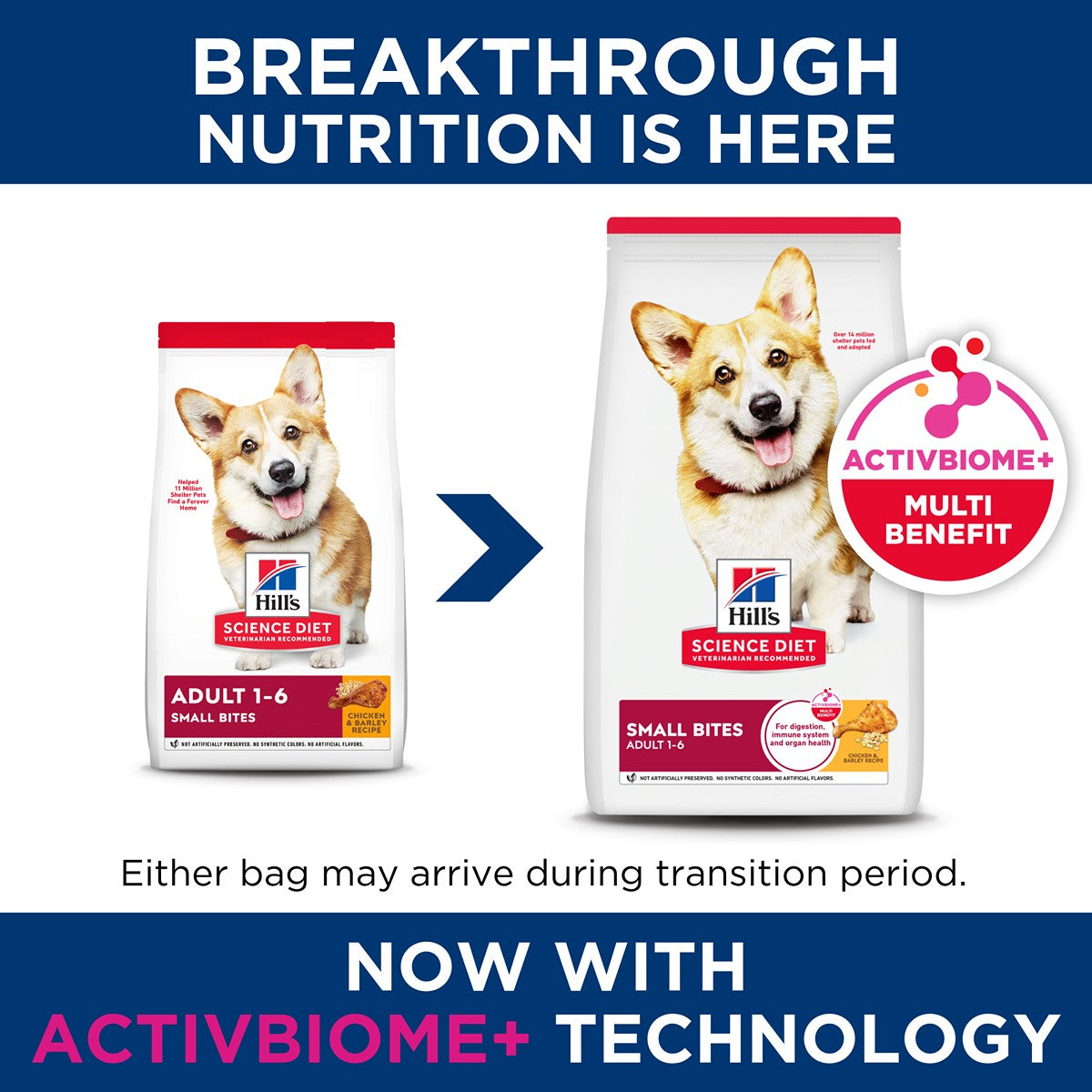 Hill's Science Diet Small Bites Dry Dog Food