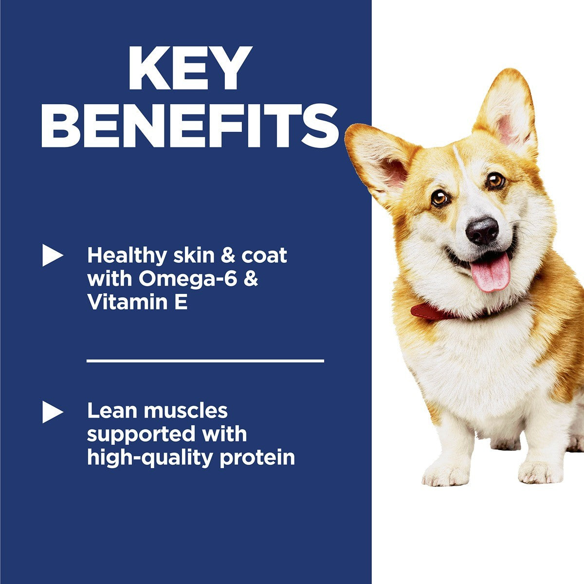 Hill's Science Diet Small Bites Dry Dog Food