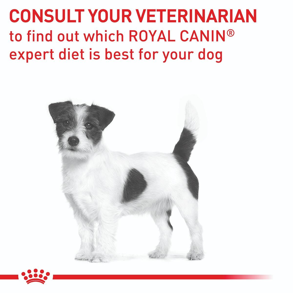 Royal Canin Vet Diet Mature Small Breed Dog