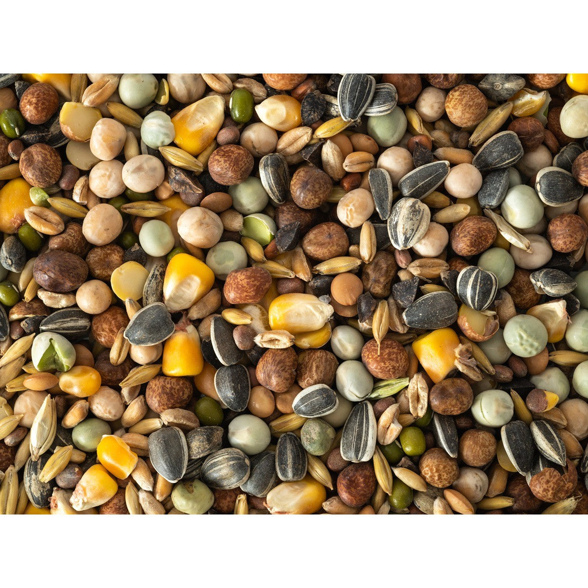 Topflite Super Sprout Mix