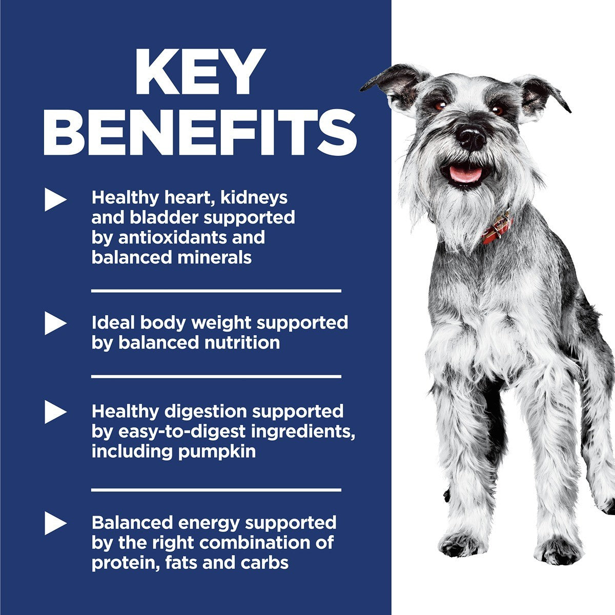 Hill's Science Diet Adult 7+ Senior Small & Mini Dry Dog Food