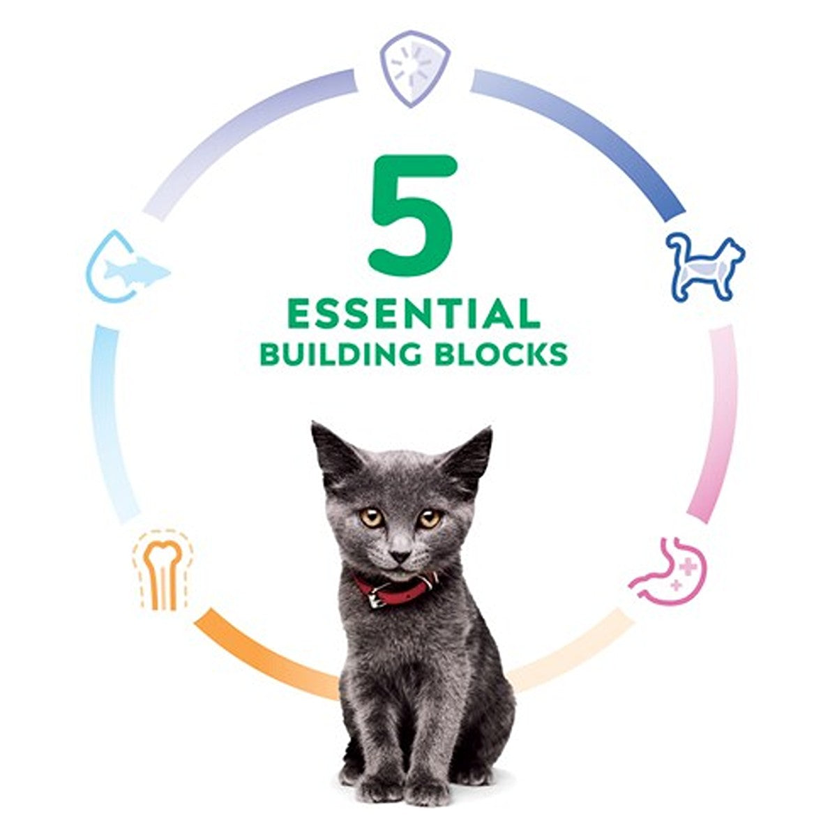 Hill's Science Diet Kitten Dry Cat Food