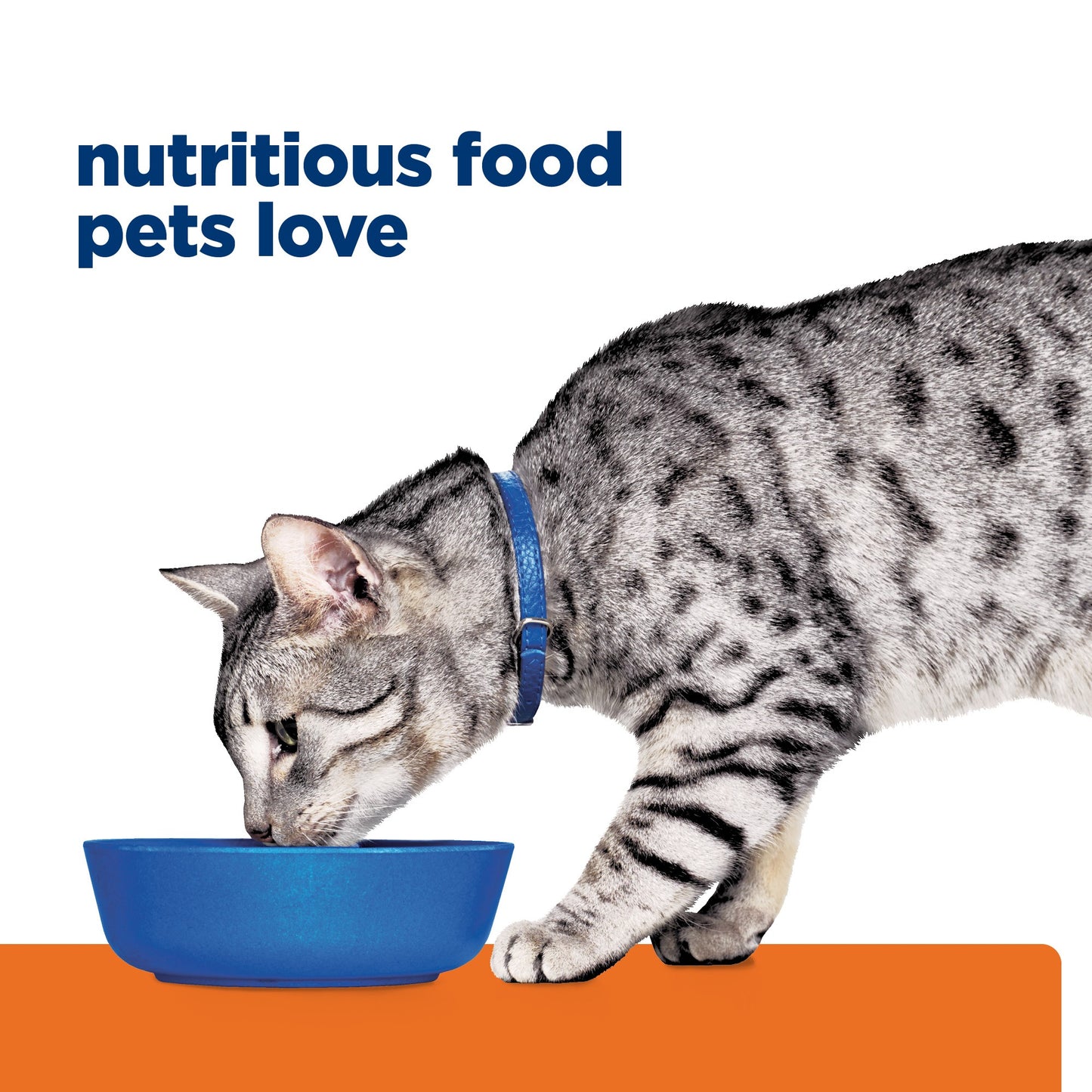 Hill's Prescription Diet c/d Urinary + Metabolic Dry Cat Food