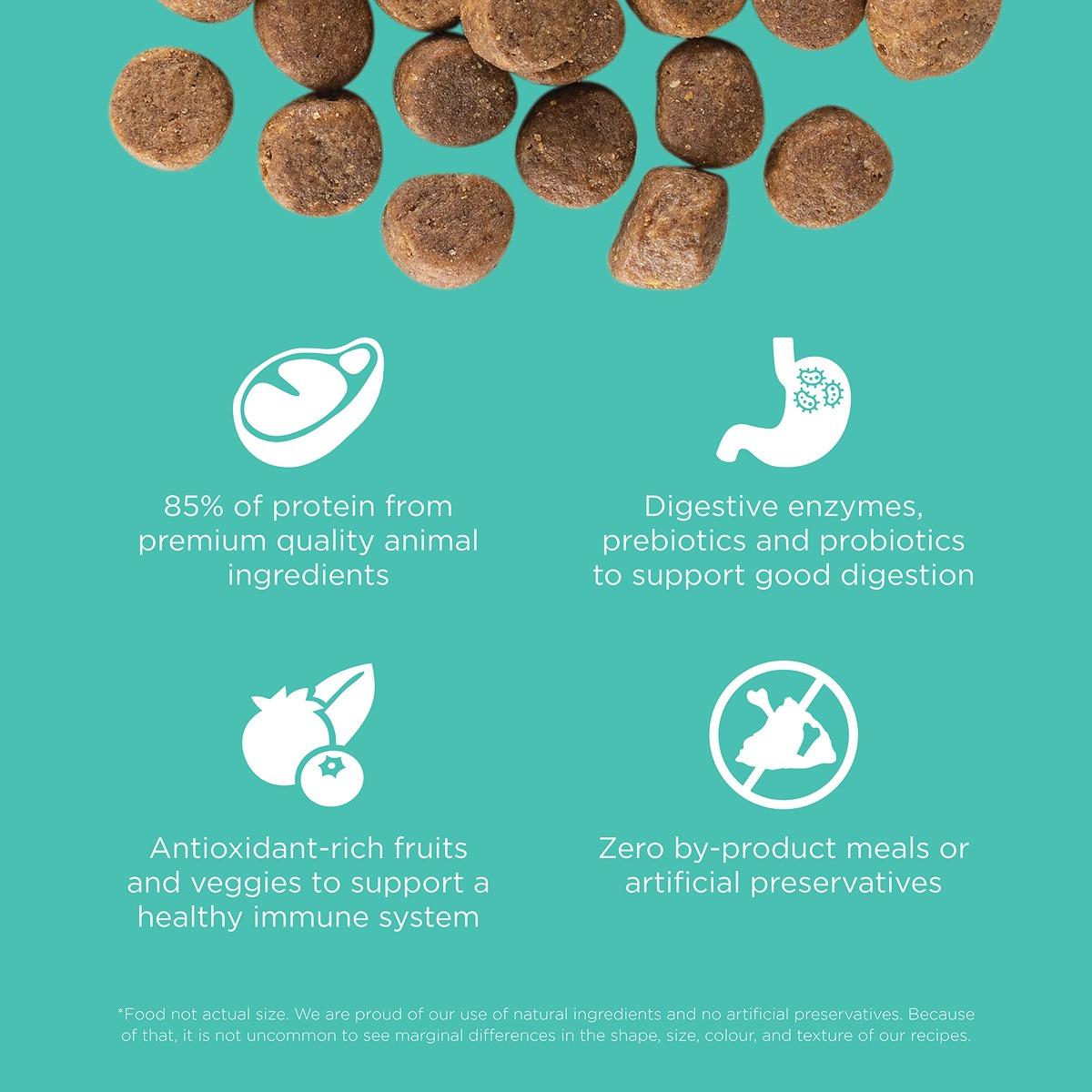Go! Solutions CARNIVORE Chicken, Turkey & Duck Grain Free Dry Dog Food