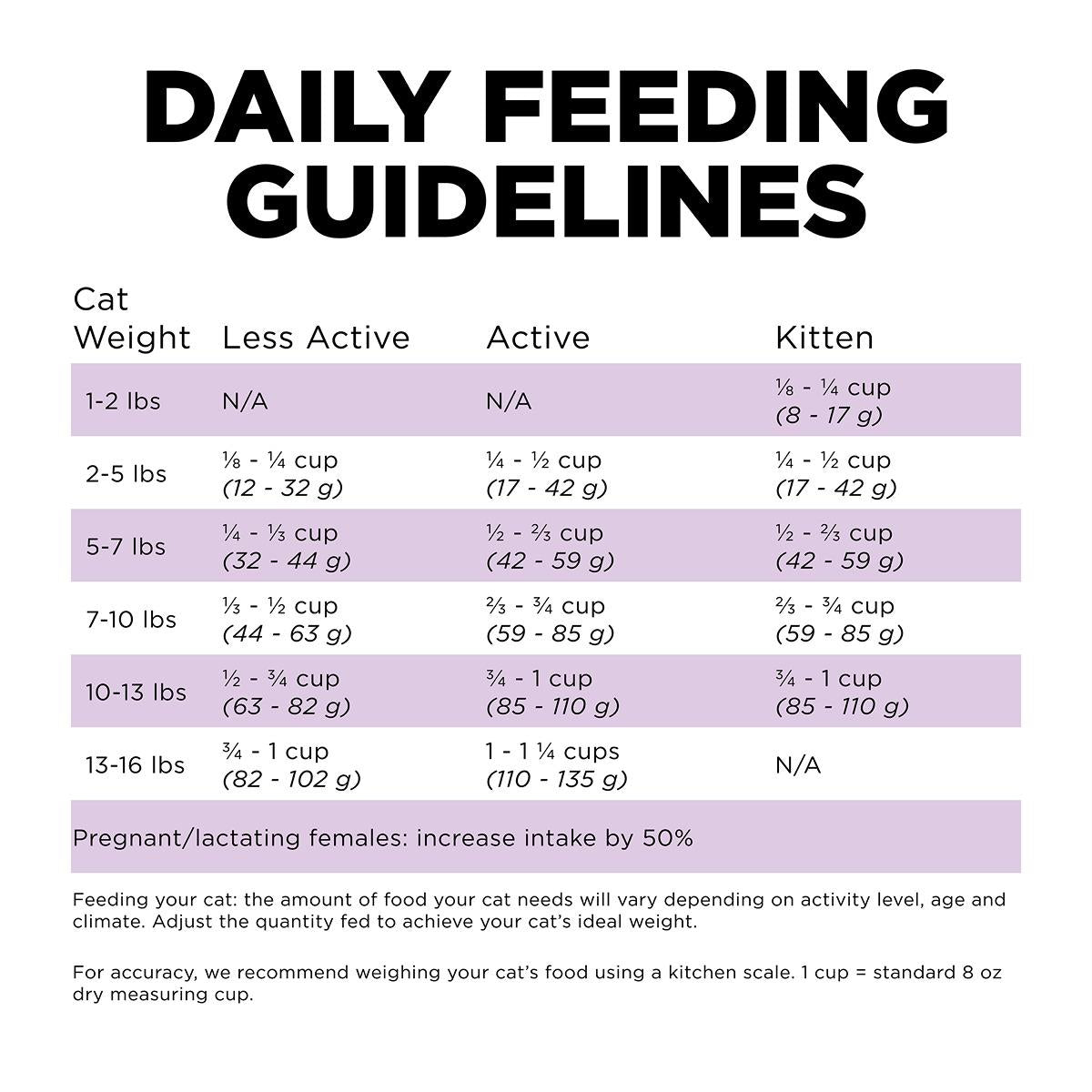 GO! Solutions CARNIVORE Diet Grain Free Chicken, Turkey & Duck Dry Cat Food