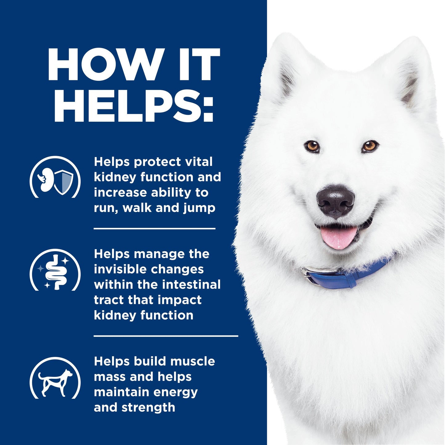 Hill's Prescription Diet k/d Plus Mobility Dry Dog Food