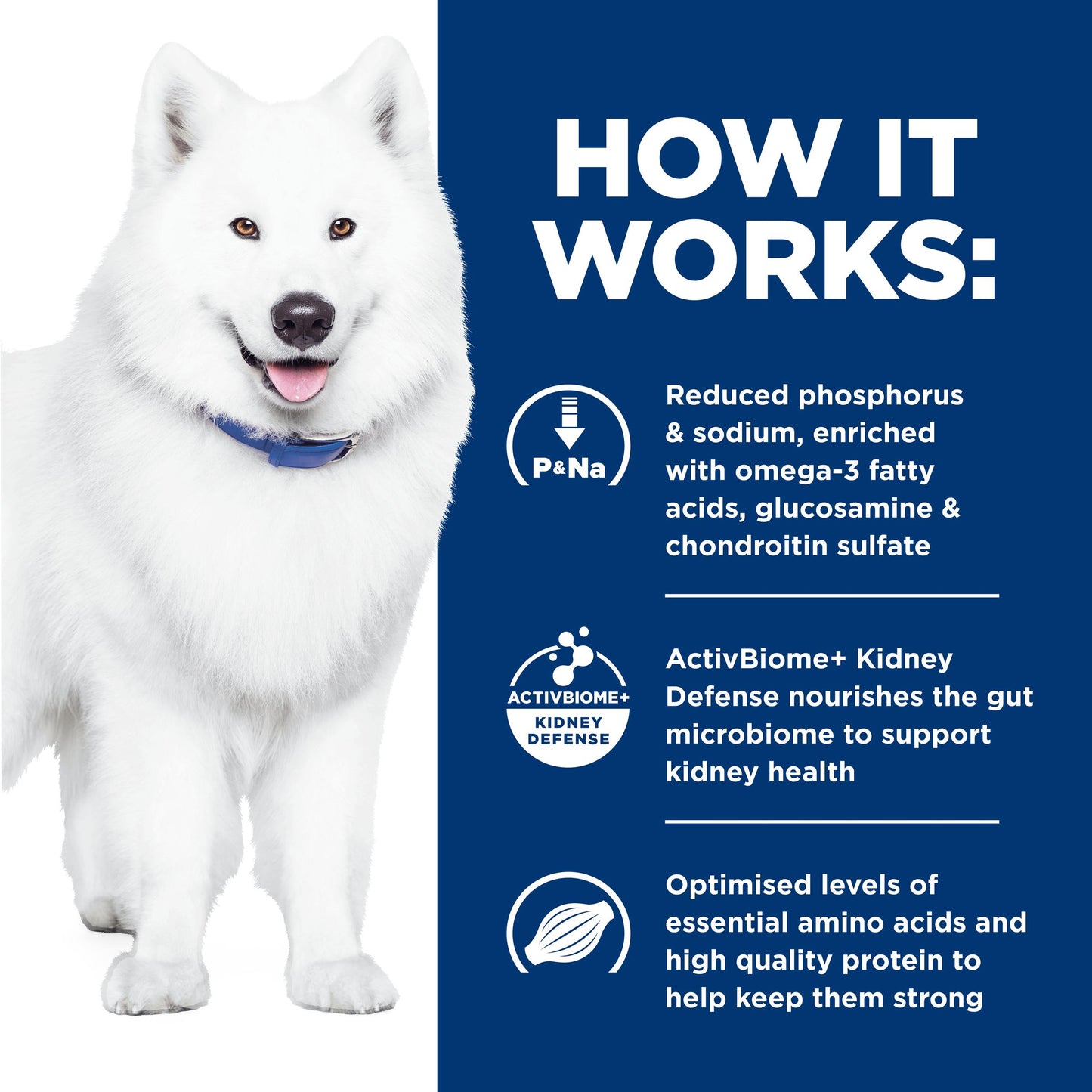 Hill's Prescription Diet k/d Plus Mobility Dry Dog Food