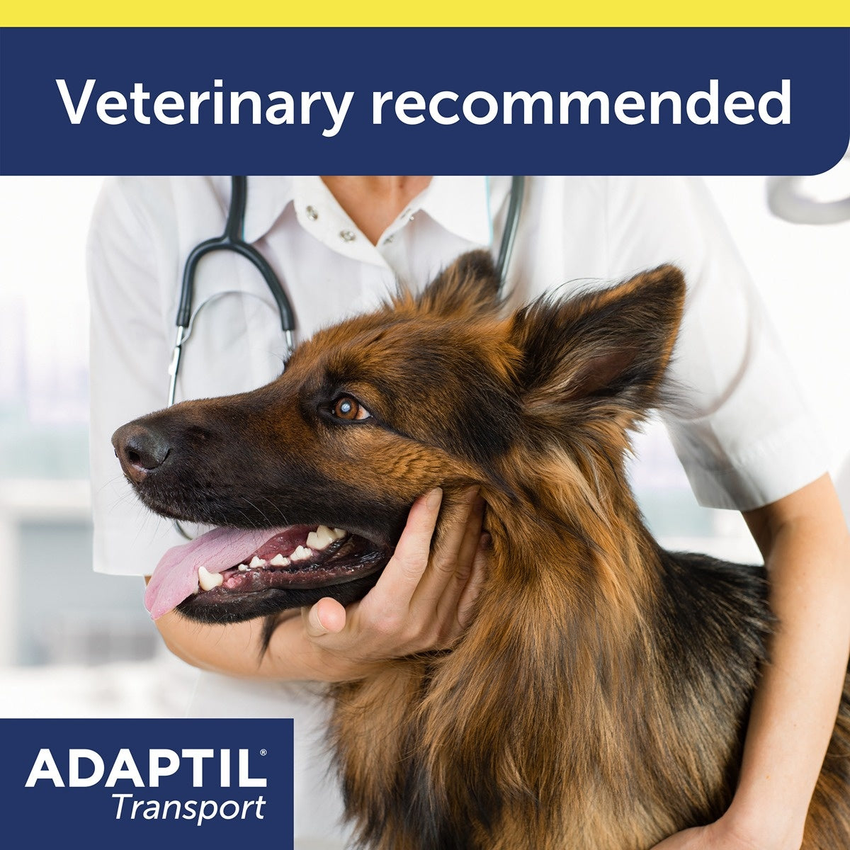 Adaptil Dog Calming Transport Spray