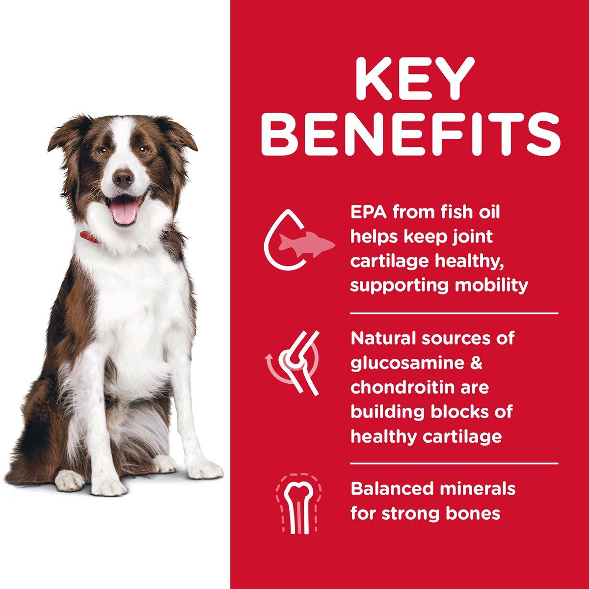 Hills Science Diet Healthy Mobility Large Breed Dry Dog Food