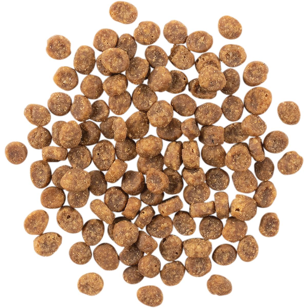 GO! Solutions SENSITIVITIES Diet Grain Free Duck Dry Cat Food