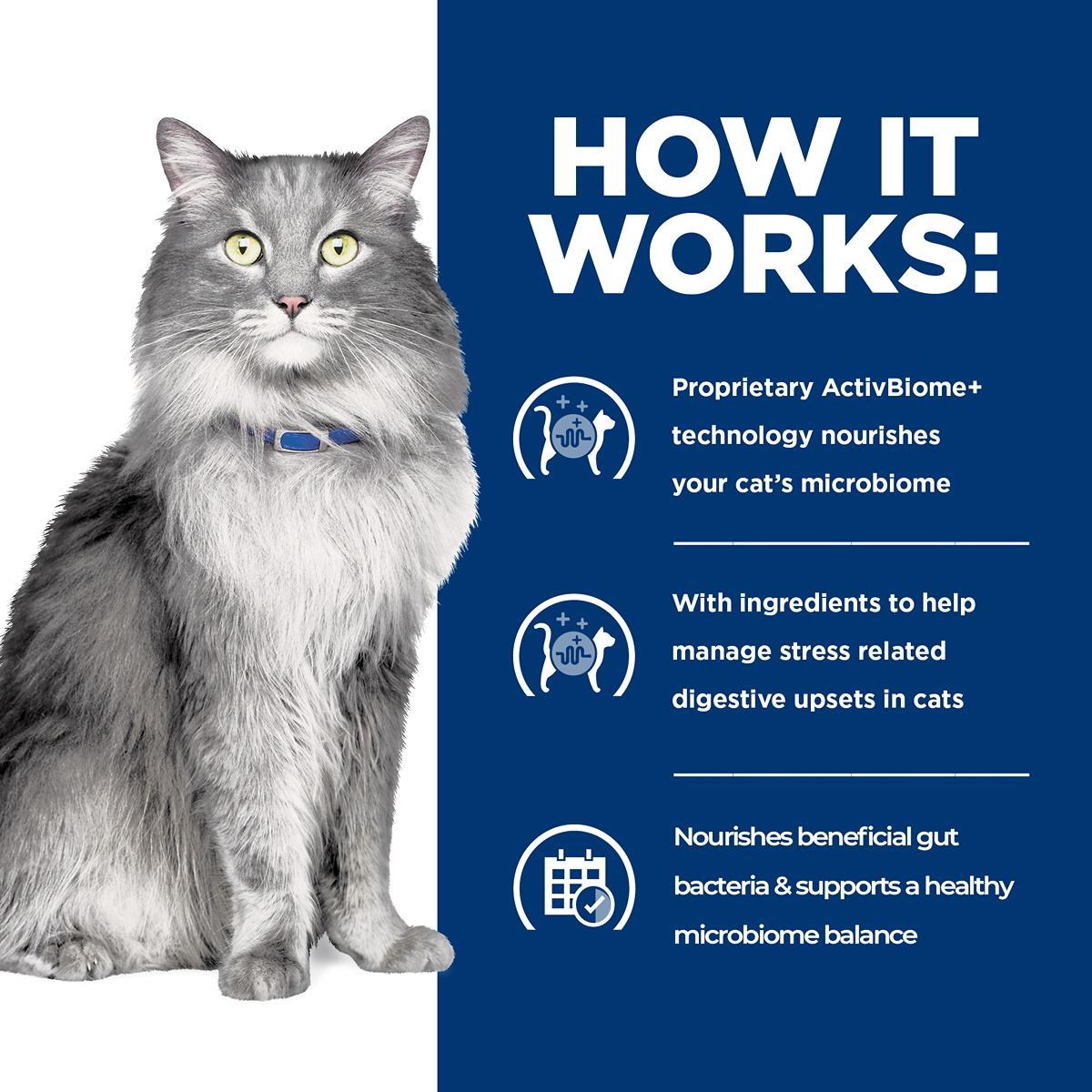 Hill's Prescription Diet Gastrointestinal Biome Digestive Fibre Care Stress Dry Cat Food