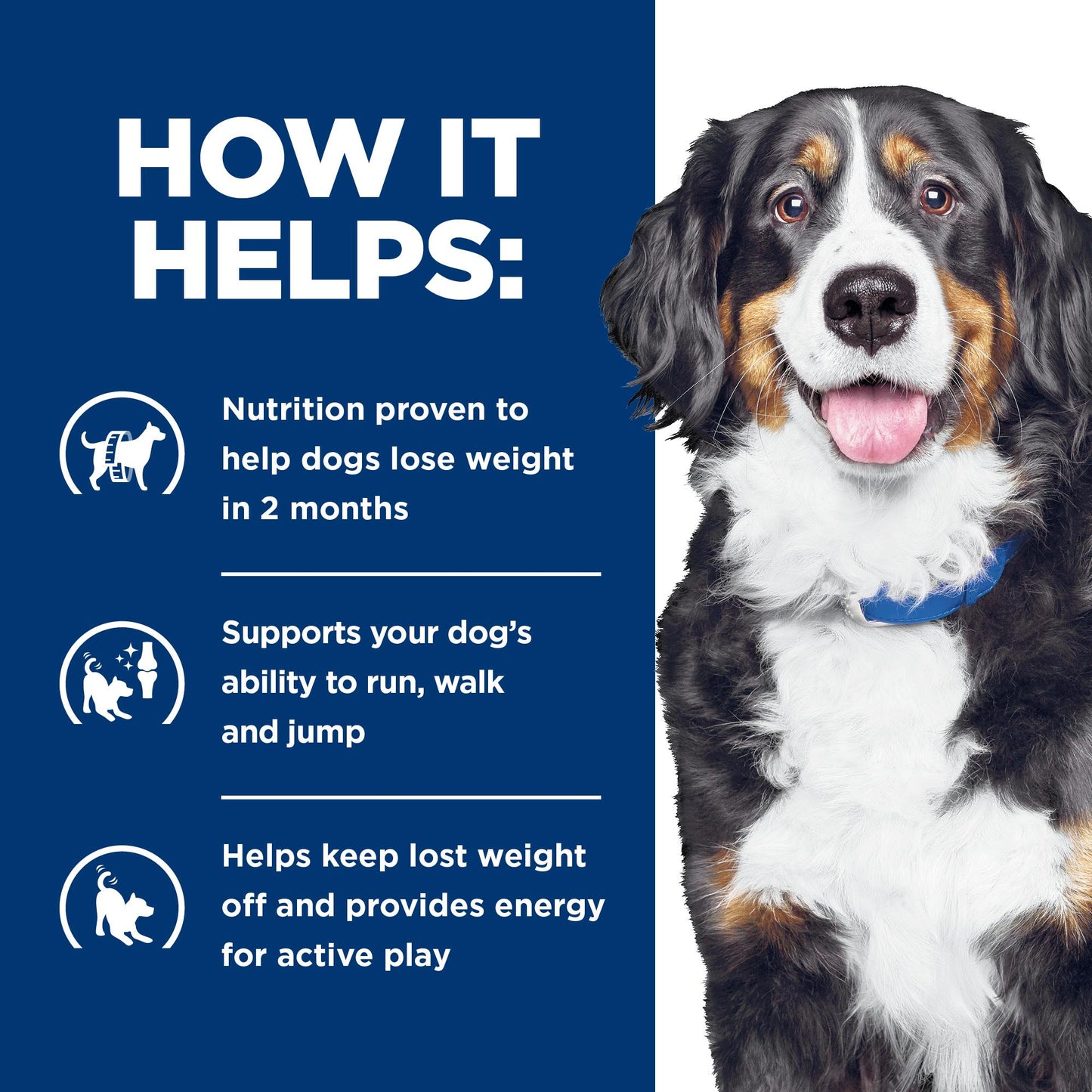 Hill's Prescription Diet Metabolic + Mobility Chicken Dry Dog Food