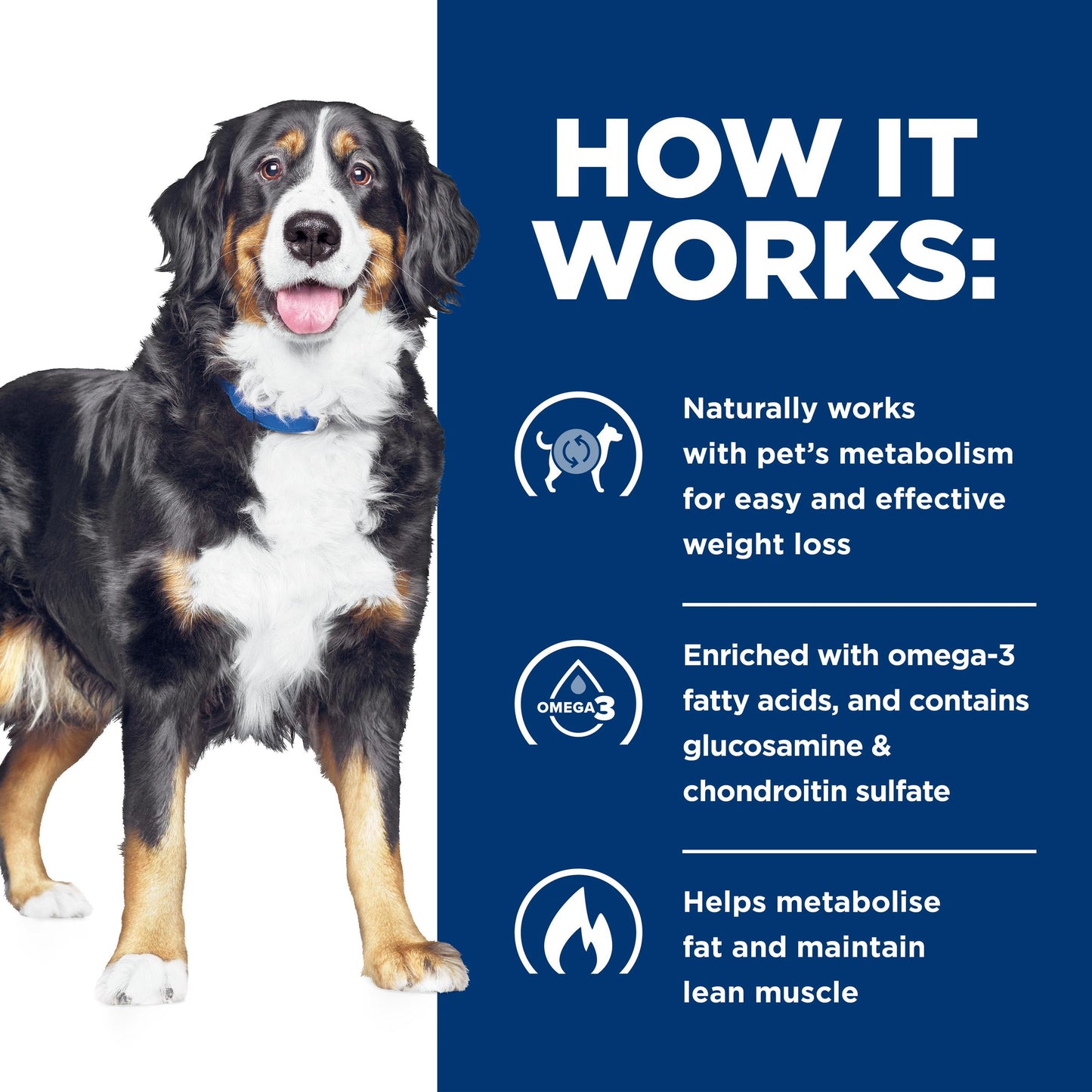 Hill's Prescription Diet Metabolic + Mobility Chicken Dry Dog Food