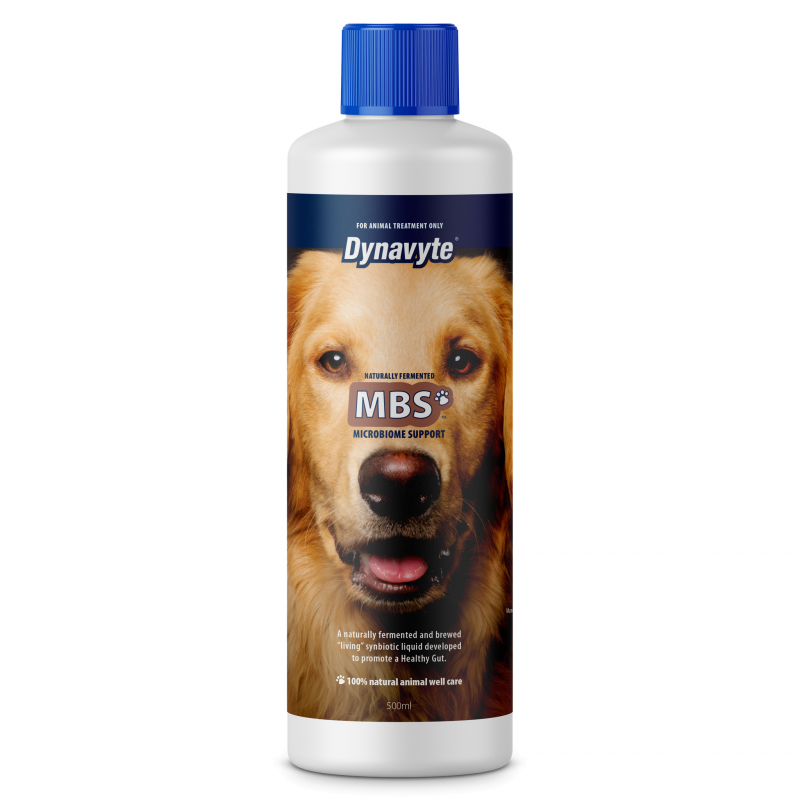 Dynavyte Dog MBS Probiotic Supplement