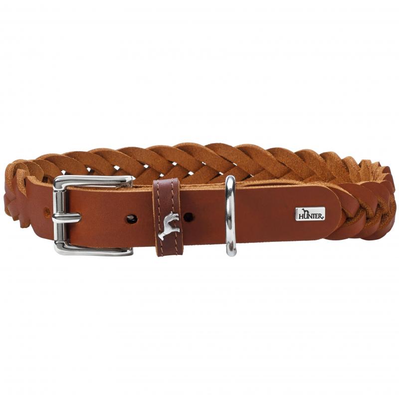 Hunter Solid Education Special Collar