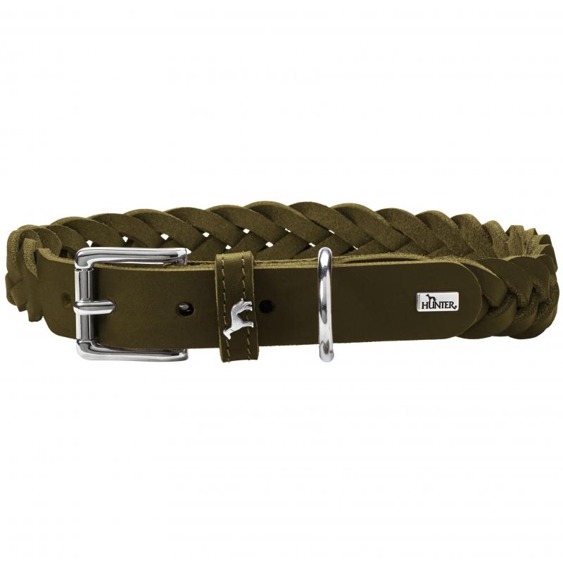 Hunter Solid Education Special Collar