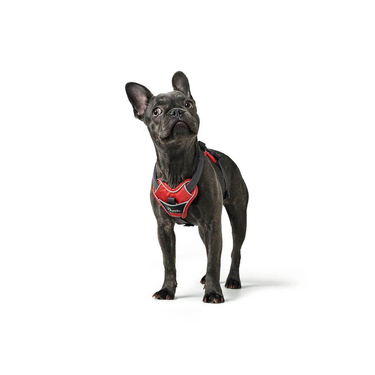 Hunter Divo Ergonomic Dog Harness