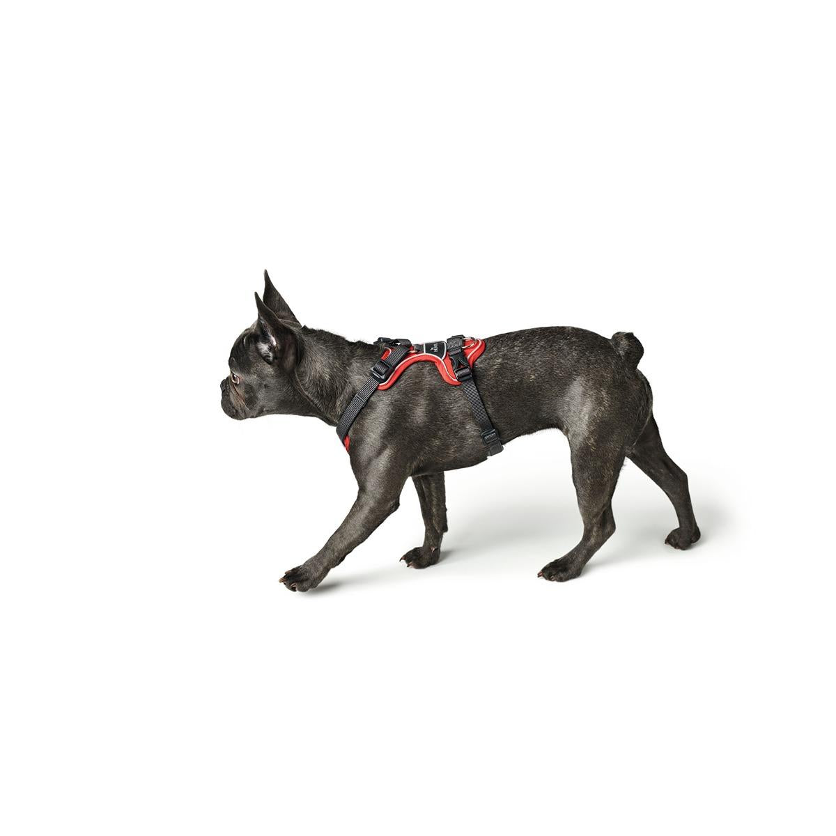 Hunter Divo Ergonomic Dog Harness