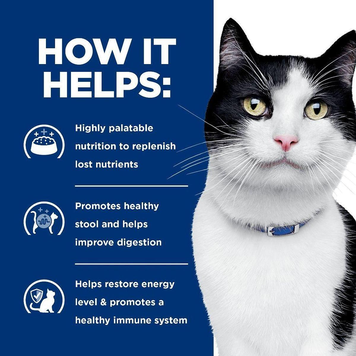 Hill's Prescription Diet i/d Digestive Care with Chicken Wet Cat Food