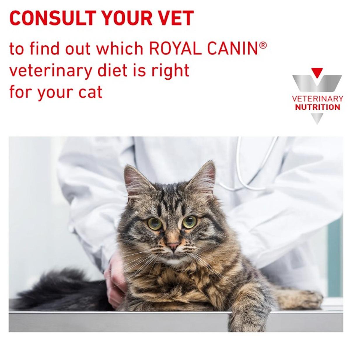 Royal Canin Vet Feline Urinary S/O Moderate Calorie Wet Cat Food