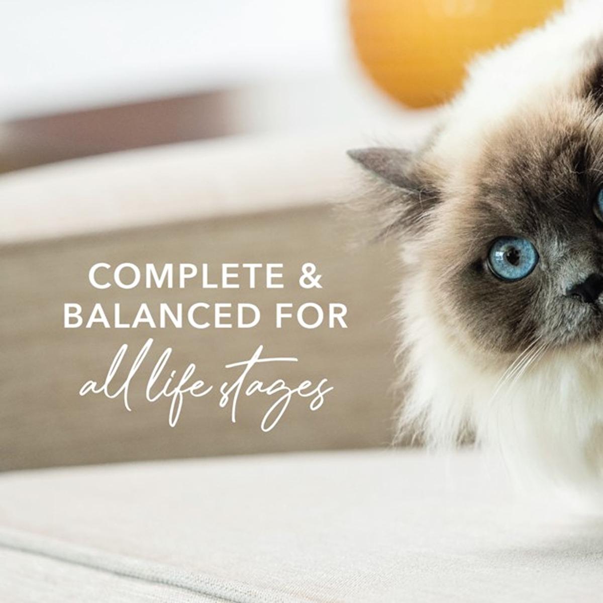 Feline Natural Chicken and Lamb Wet Cat Food