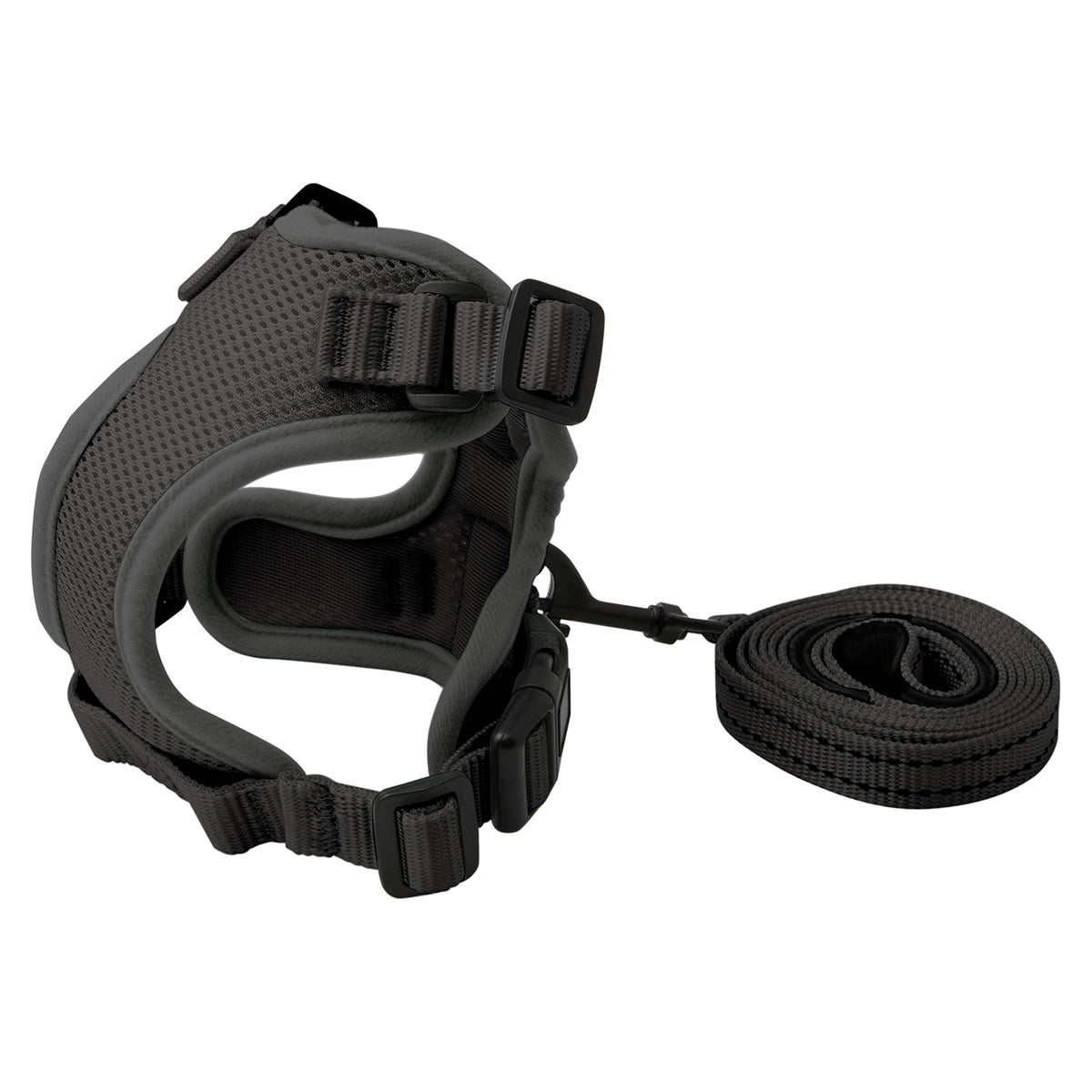 Lexi & Me Cat Harness & Lead Set