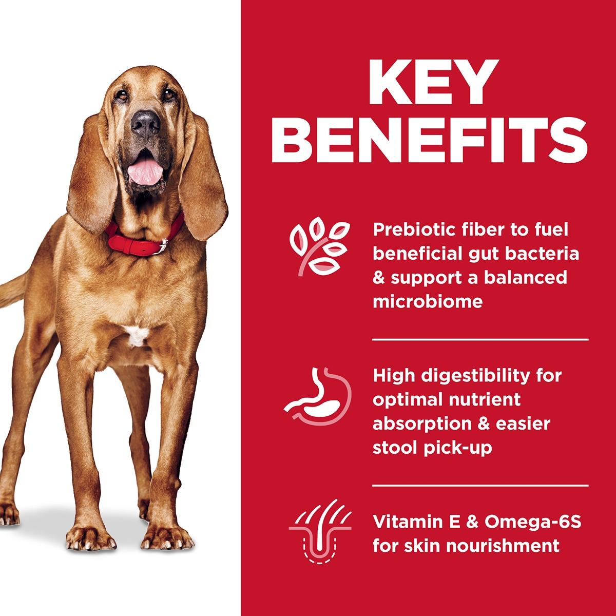 Hill's Science Diet Adult Sensitive Stomach & Skin Large Breed Dry Dog Food