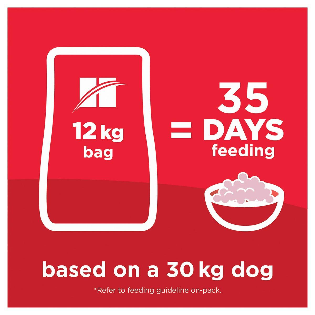 Hill's Science Diet Adult Sensitive Stomach & Skin Large Breed Dry Dog Food