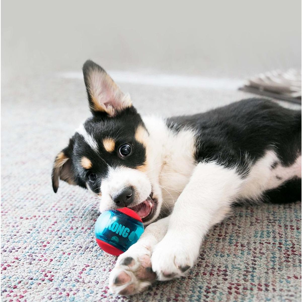 Kongs Squeezz Action Balls