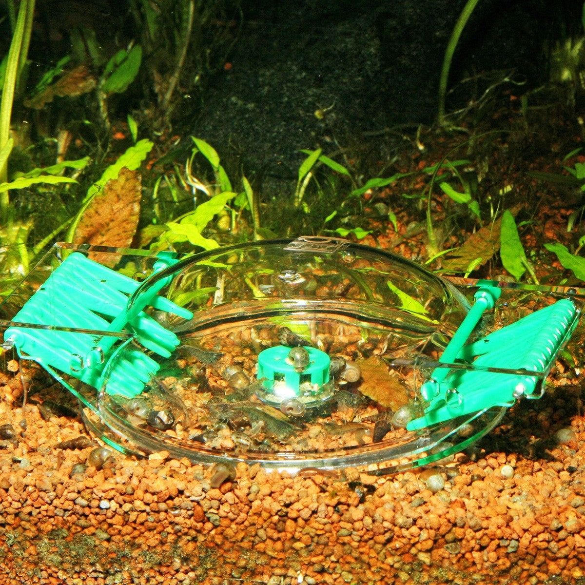 JBL Lim Collect Chemical-Free Snail Trap