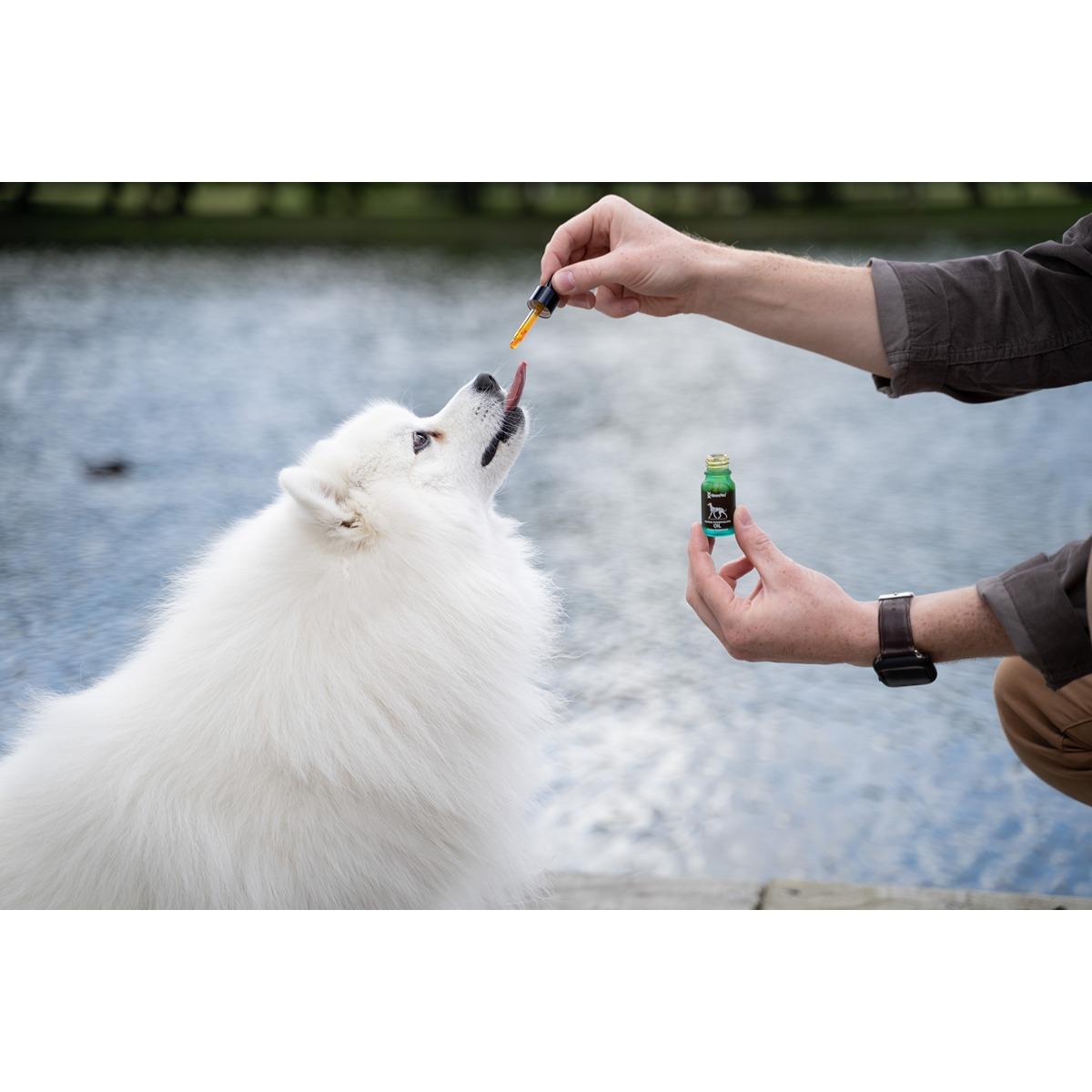 Korure Dog Marine Phos Oil