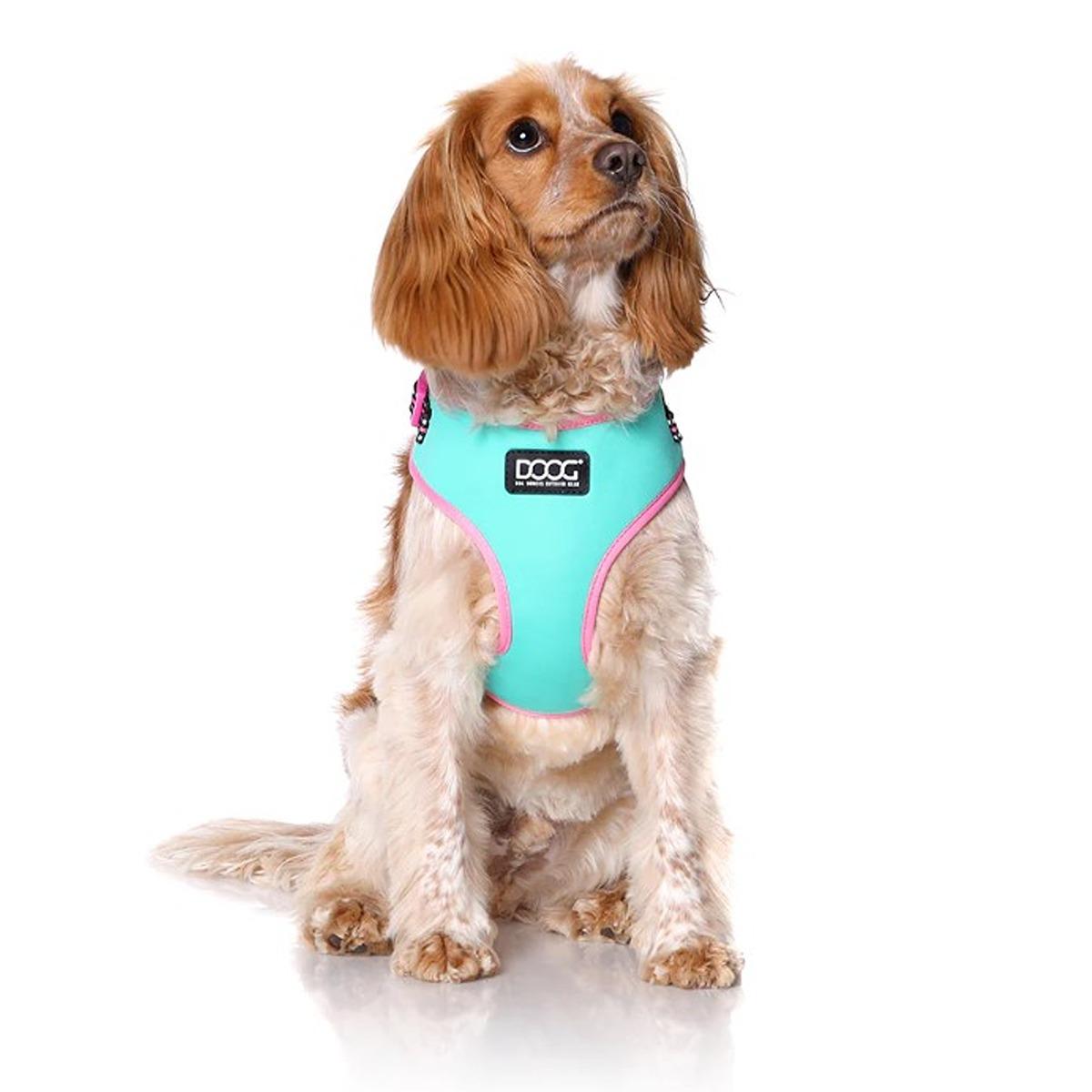 DOOG Neoflex Soft Dog Harness Rin Tin Tin